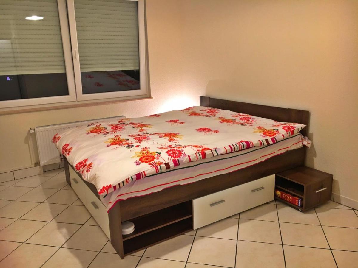 Cozy Studio Apart - King Bed - Netflix - Projector - Fast Wi-Fi 룩셈부르크 외부 사진